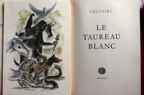 Voltaire taureau blanc - taureau,
