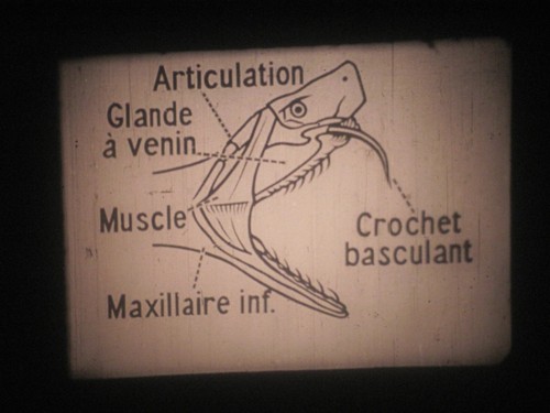 Film pathé les - mm,