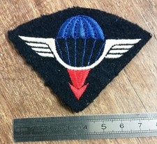 France Insigne tissu 25 DAP