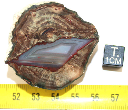 Lithophyse massif de - du,