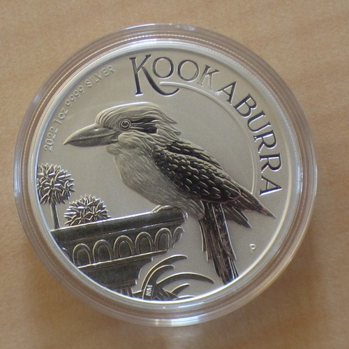 Australia kookaburra 2022 - australia,