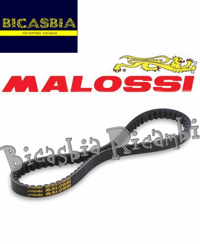 12614 courroie malossi - -, pour
