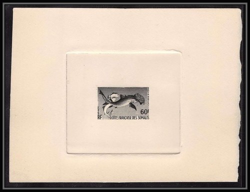 0473 epreuve artiste - epreuve, d'artiste