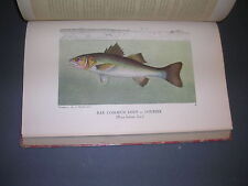 Pêches poissons De la Blanchère la pêche et les poissons 1926 gravures couleurs