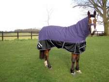 Gee Tac Cheval Participation
