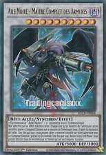 Yu-Gi-Oh! Aile Noire - Maître Complet des Armures : UR BLCR-FR064