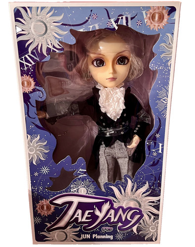 New taeyang doll - 14”, doll_butler