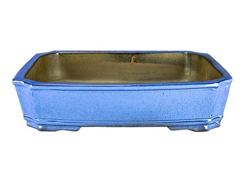 Pot bonsaï rectangulaire - pot, à