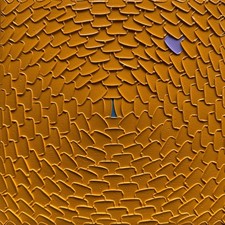 Art contemporain abstrait