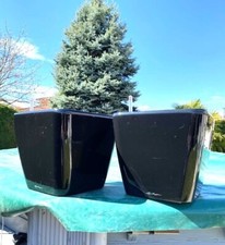 pot de fleur lechuza noirs