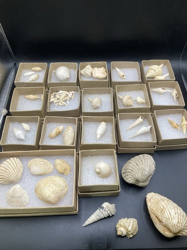 Nice collection 35 - nice,