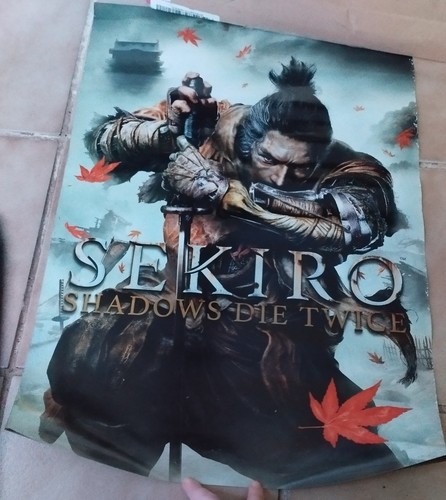 Sekiro shadows die - , twice