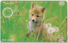 725/2020 Carte Téléphonique Usagée Japon 430-163 Renard Du Nord Dans Le Champ