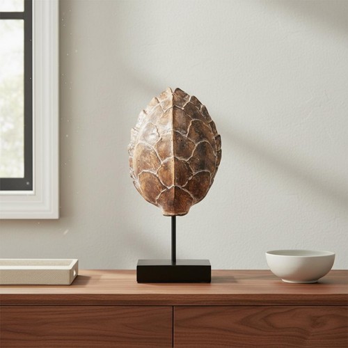 Sculpture carapace de - sculpture,