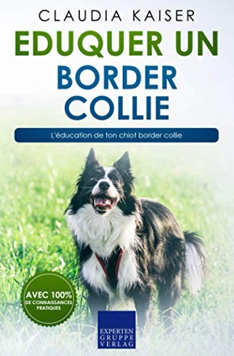 Eduquer border collie - un,