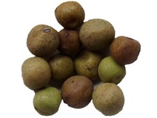 Pois Protéagineux Ab - Pisum Sativum - Protein Peas - (Engrais Vert) - SEM03