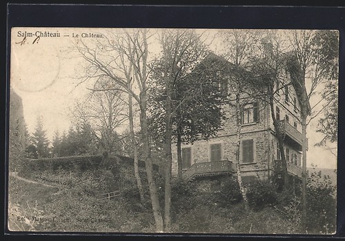 Cpa salm chateau - cpa, le