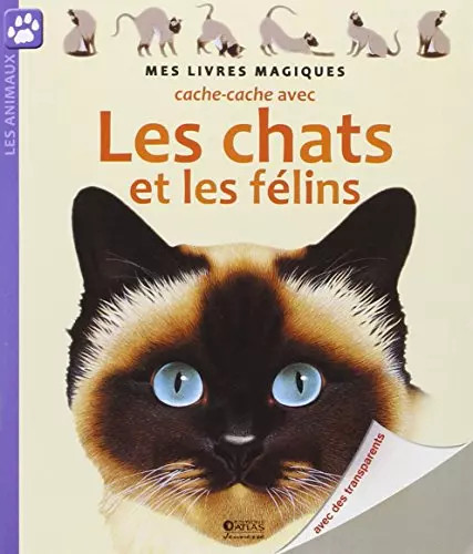 Cache avec les - avec, et