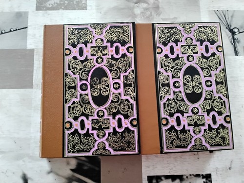 Reine margot tomes et 2 - reine,