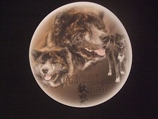 Tapis de souris - AKITA INU