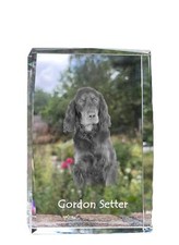 Gordon Setter, Écossais