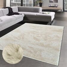 Tapis de Décoration Salon