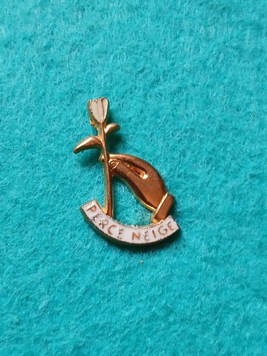 Pin perce neige - perce,