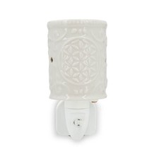 Diffuseur électrique de