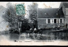 PREMERY (58) CHEVAUX à