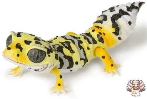 Mini figurine reptile - , leopard