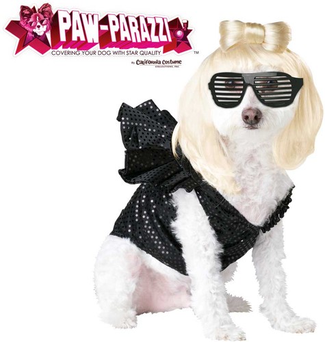 Paw parazzi lady gaga - gaga, dogga