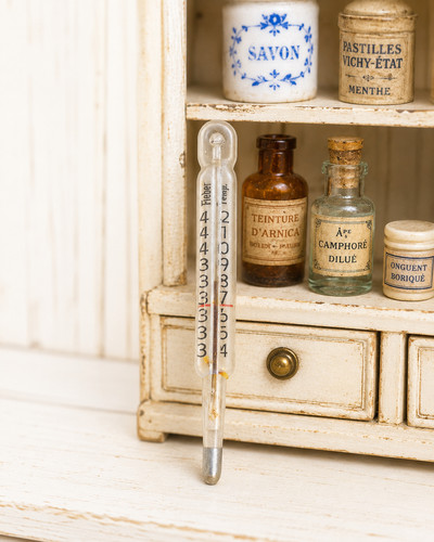 Rare thermomètre miniature