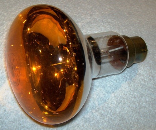 Lampe spot ambre - 40w, r80