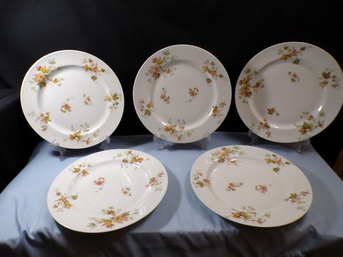 Set haviland co made - 5, co.