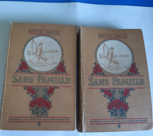 Sans famille hector malot - sans,