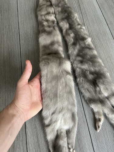Grande écharpe véritable - en,