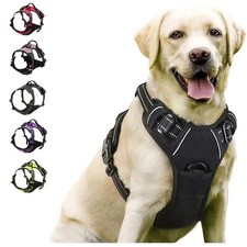 Colliers, Harnais & Laisses pour Chiens - Accessoires en Nylon | Gilet, Man