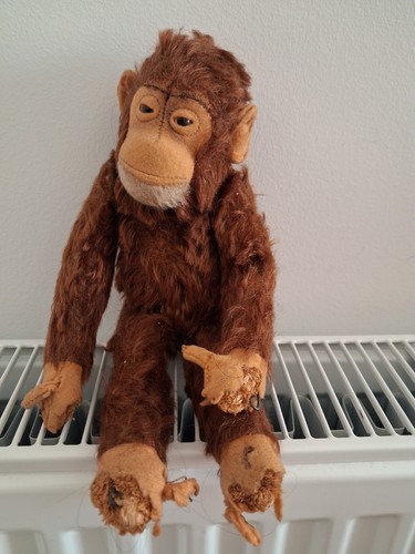 Adorable vieux singe - vieux,