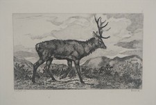 Antoine Louis BARYE : Le grand cerf, GRAVURE signée, Durand Ruel, 1873