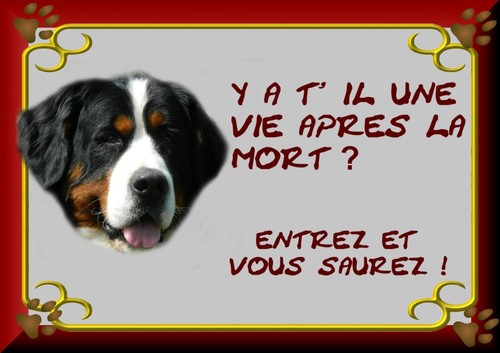 Plaque garde bouvier - plaque,