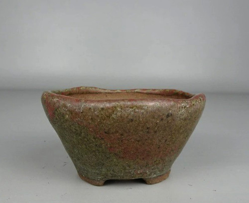 Pot bonsaï japonais gyoun - bonsaï,