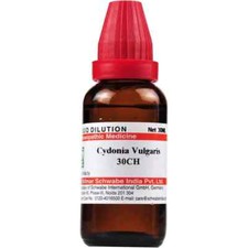 Willmar Schwabe Inde Cydonia