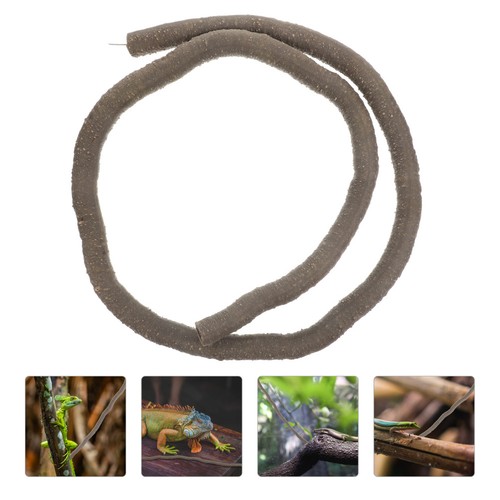 Vigne pour terrarium - vigne,
