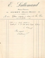 Facture - E. LALLEMAND Médecin vétérinaire à CUSEY 1905