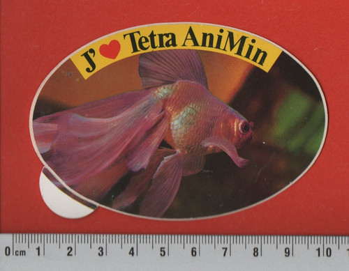 Tetra animin - ❤,