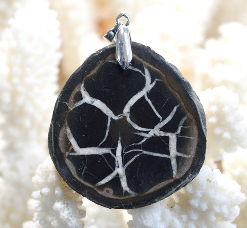 Septaria 148 carats - ,