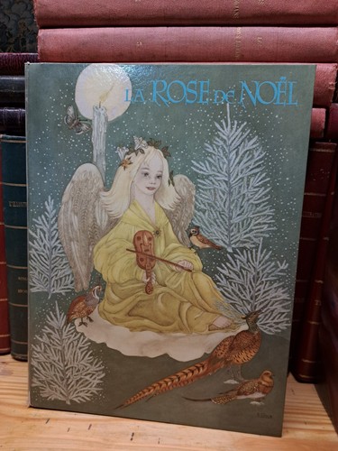 Rose noel - noel,