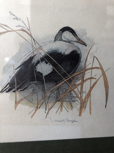 Vintage ancien gravure litho - vintage,