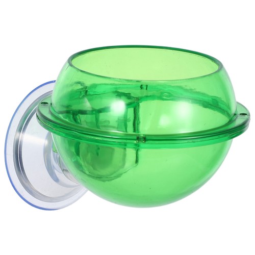 Plat eau pour - plat, reptiles