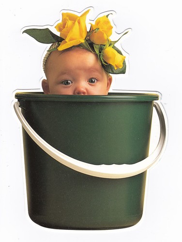 Bebe anne geddes - geddes, postale